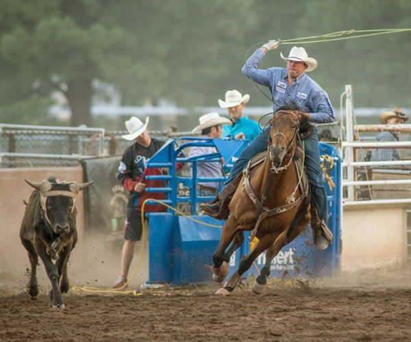 Flagstaff Pro Rodeo