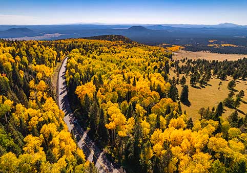 Fall season on Snowbowl Rd in Flagstaff