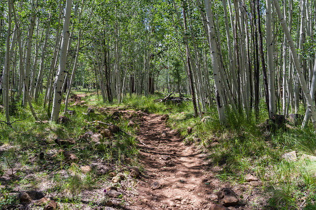 Weatherford Trail Flagstaff